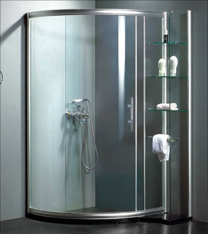 Shower door