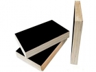 Film Faced Plywood (FFP005)