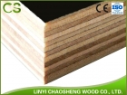 Film Faced Plywood (FFP04)