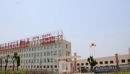 Zhejiang Rongfa Motor Engine Co., Ltd.