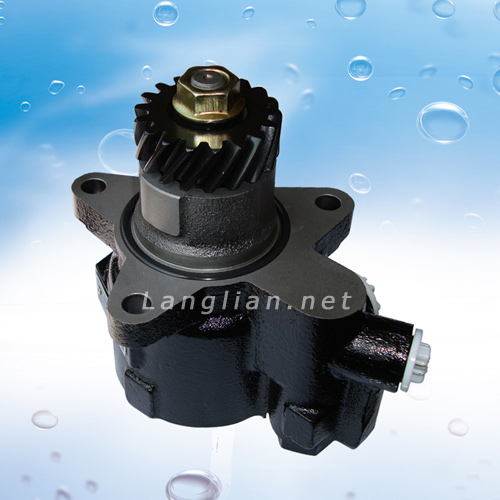 Auto Power Steering Pump(DSC01987)