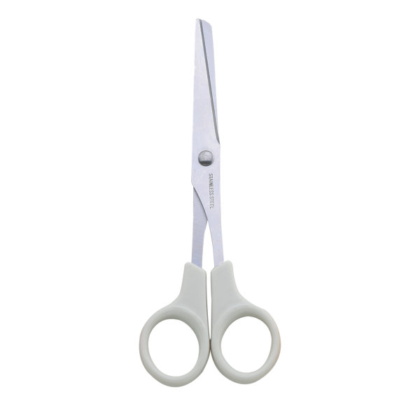 Barber's Scissors