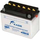 Car Battery