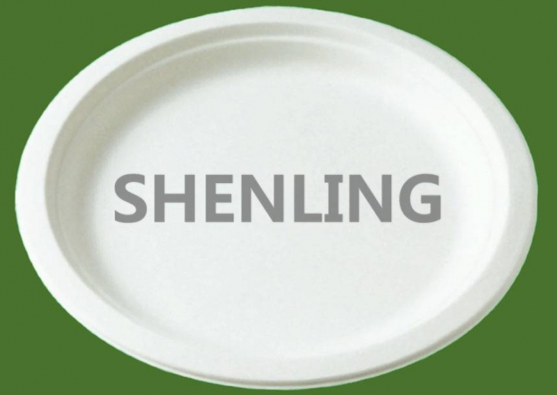 Biodegradable Oval Plate