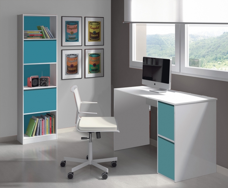 Desk and Bookcase