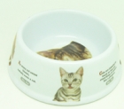 Pet Bowls & Feeders