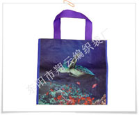 Non woven bag