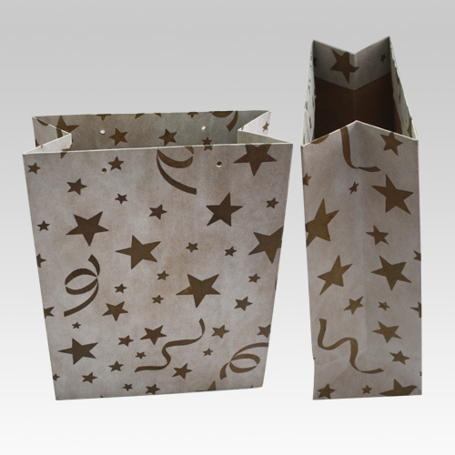 Paper Bags