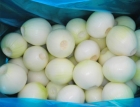 Fresh Peeled Onion