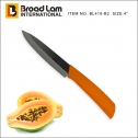 Fruit knife
