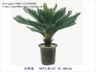 Artificial Sago Cycas