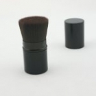 Make Up Brush
