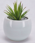 Flower Pot (TS1254-1)