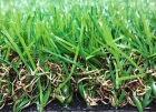 Artificial Turf