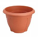 Flower Pot