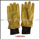 Household Gloves