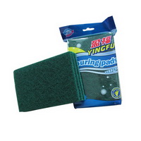 Scouring Pad