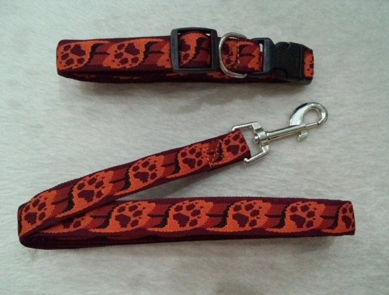 Pet Leash