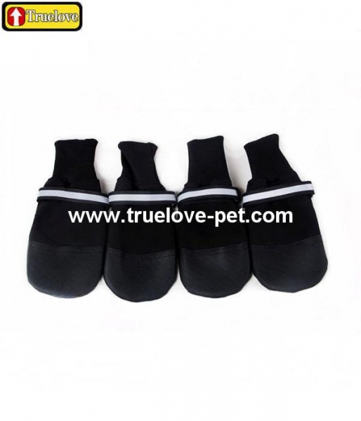 Pet Shoes