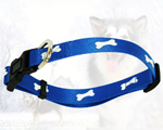 Pet Collar