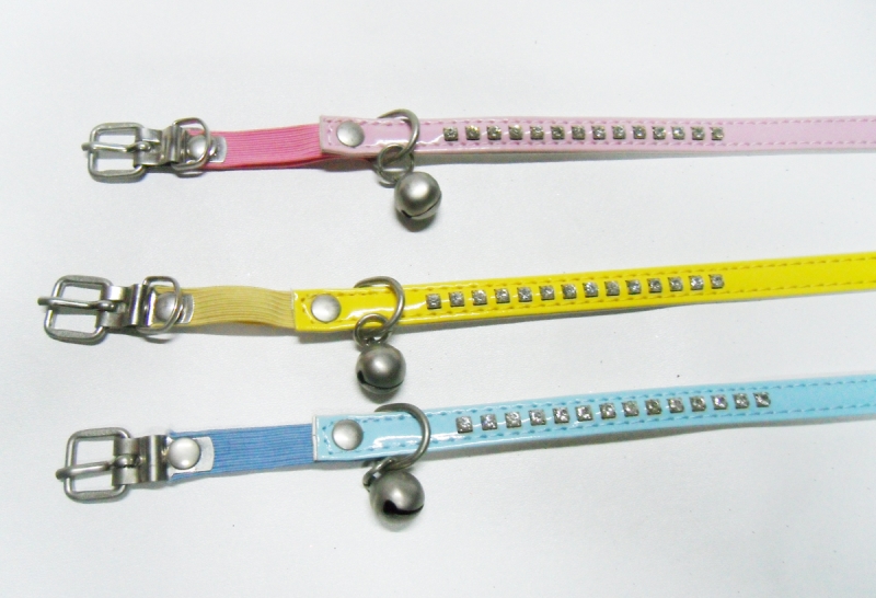 Pet Collar