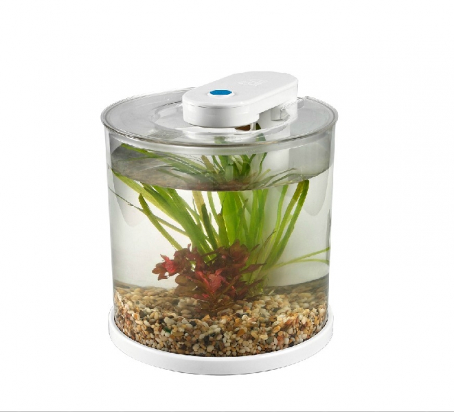 Aquarium Tank