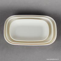 Melamine Plates