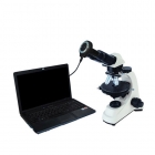 Digital polarizing microscope