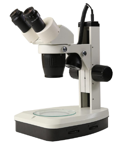 Fixed Stereo Microscope