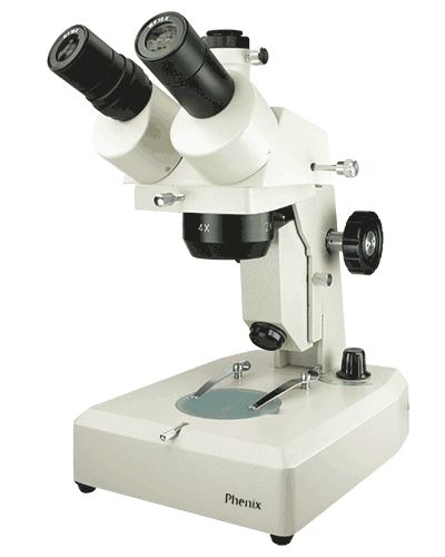 Fixed Stereo Microscope