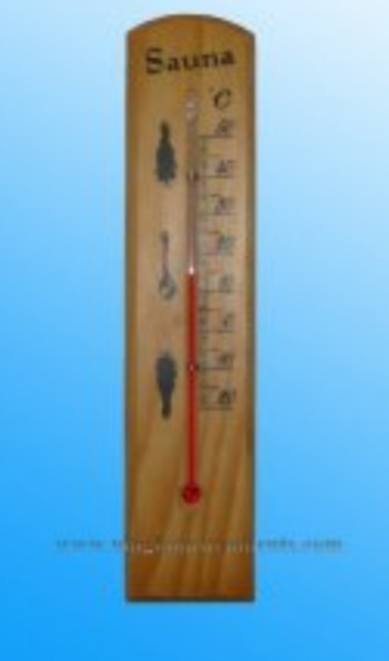 Household Thermometers