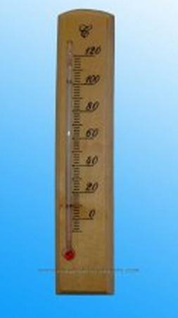 Household Thermometers