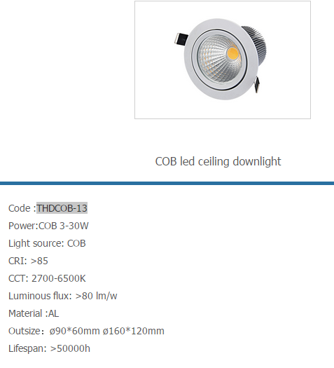 LED DownLighters