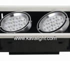 LED DownLighters