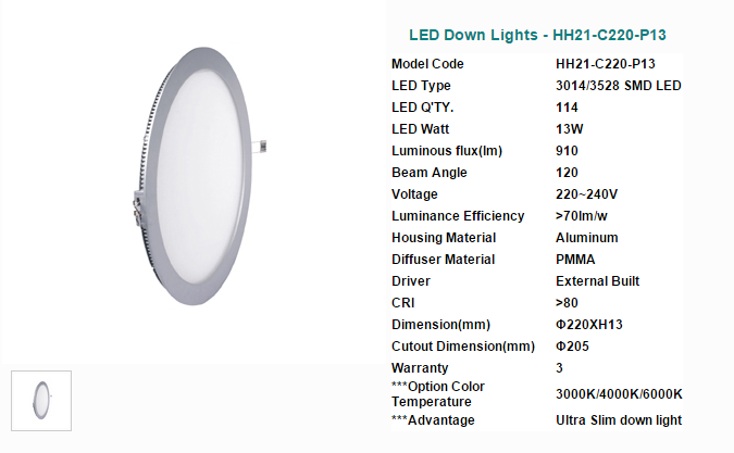 LED DownLighters