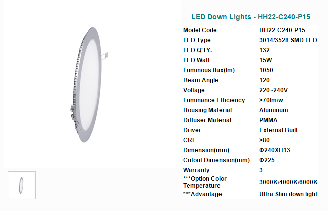 LED DownLighters