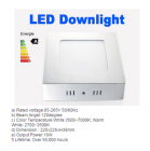 LED DownLighters