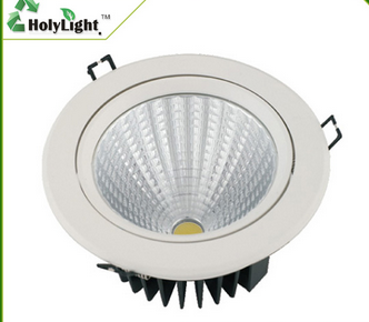 LED DownLighters